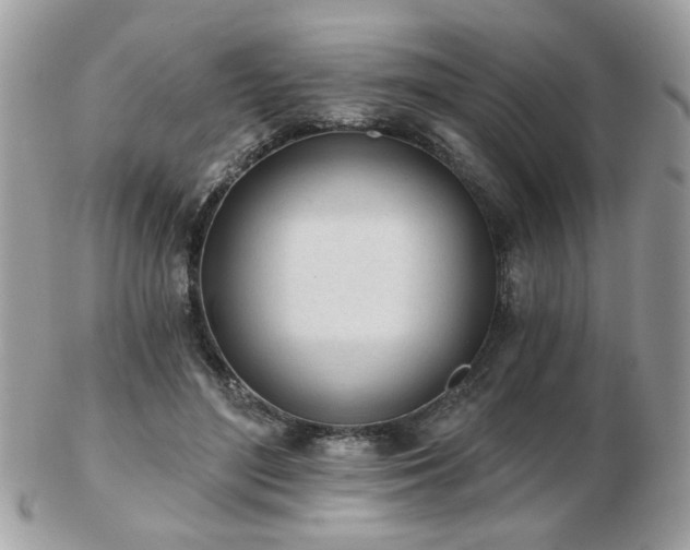 X0000103260500200808291221