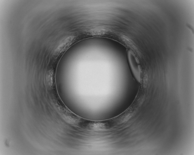 X0000103260501200808291221