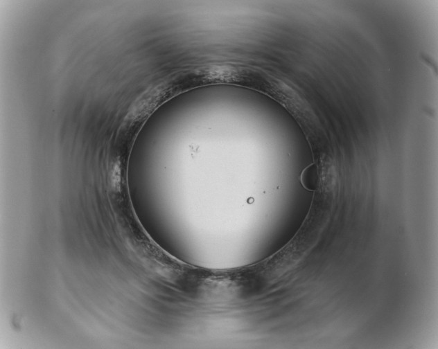 X0000103260502200808291221