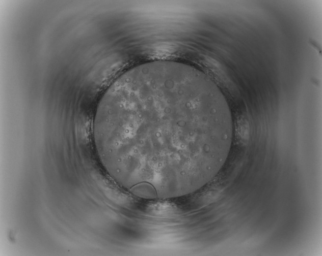 X0000103260503200808291221