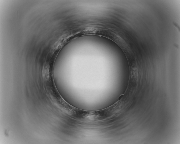 X0000103260504200808291221