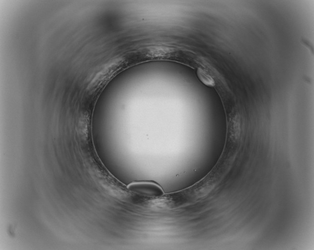 X0000103260505200808291221