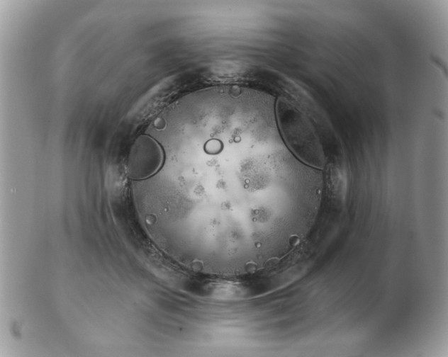 X0000103260507200808291221