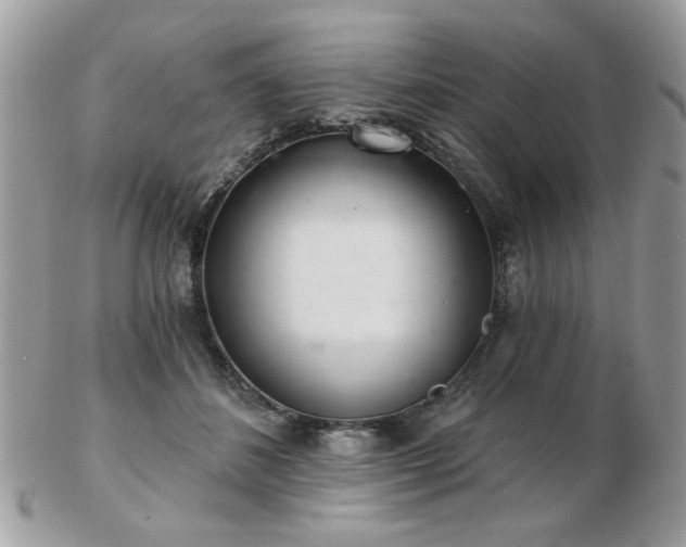 X0000103260508200808291221