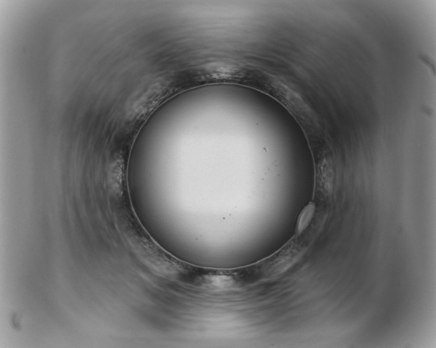 X0000103260509200808291221