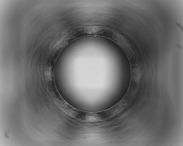 X0000103260510200808291221