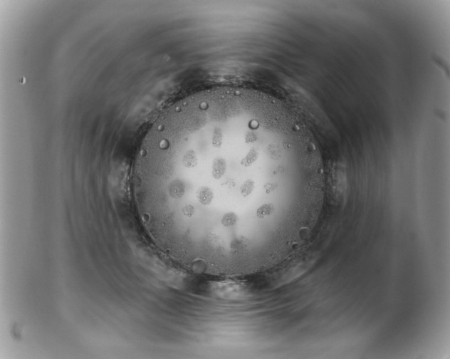 X0000103260511200808291221