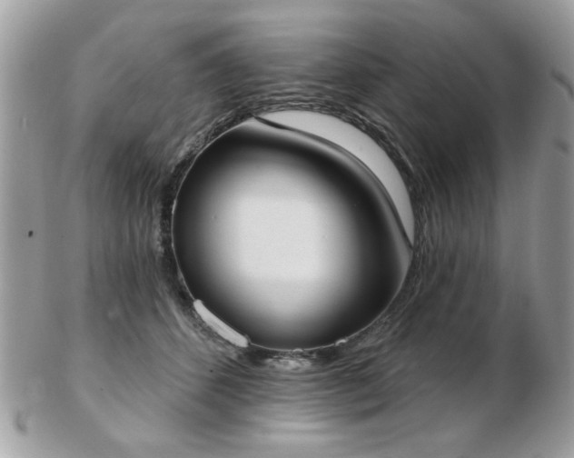 X0000103260512200808291221