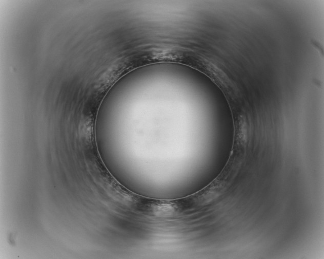 X0000103260513200808291221