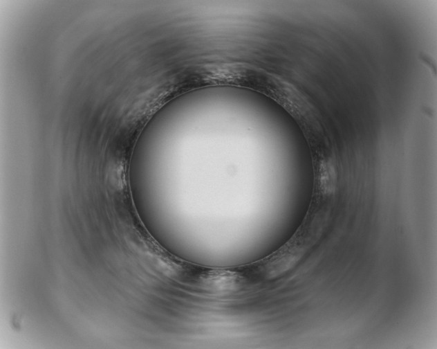 X0000103260514200808291221