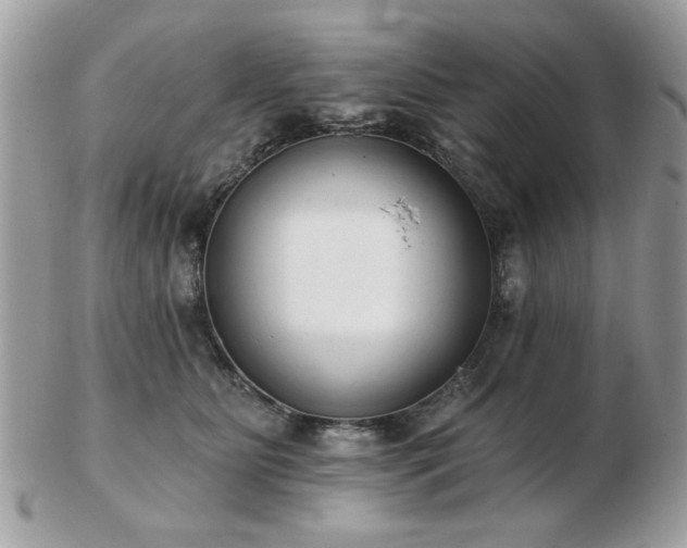 X0000103260515200808291221