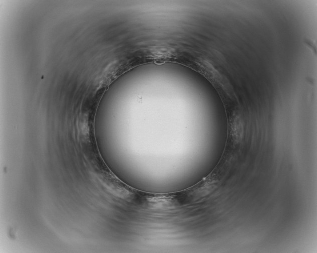 X0000103260516200808291221