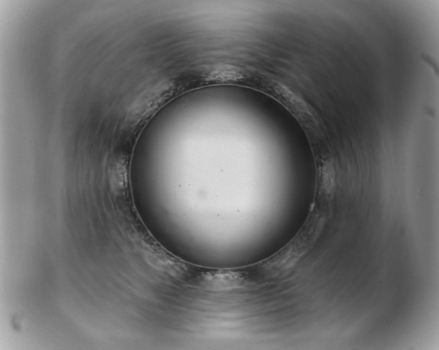 X0000103260517200808291221