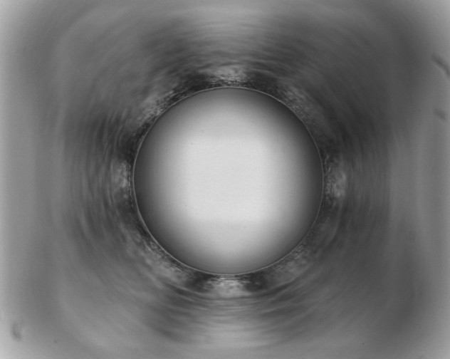 X0000103260518200808291221