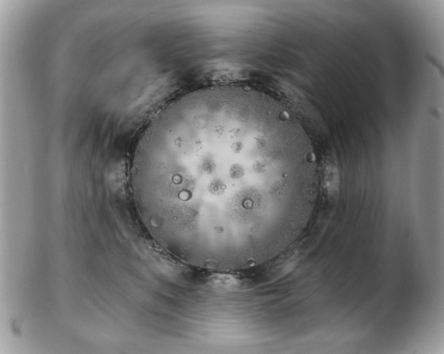 X0000103260519200808291221