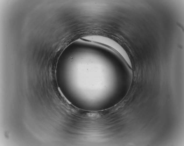 X0000103260520200808291221