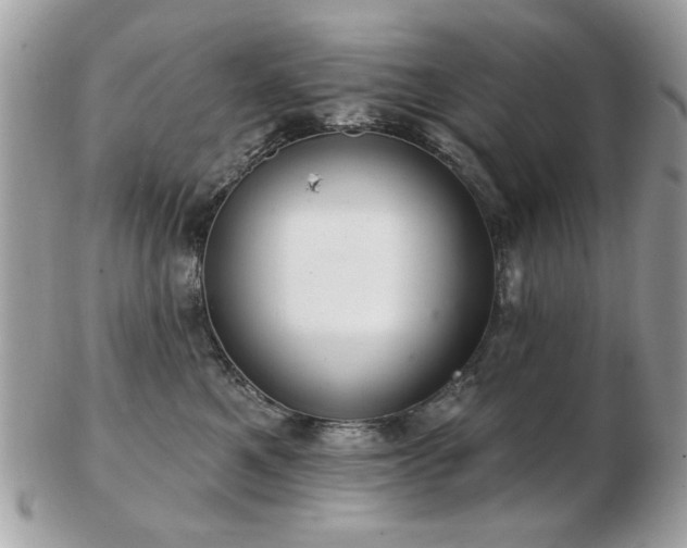 X0000103260521200808291221