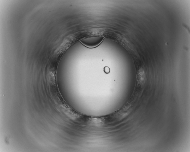 X0000103260522200808291221