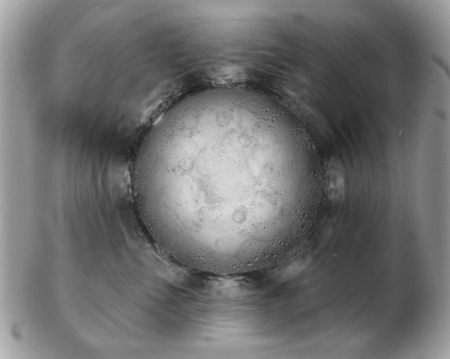 X0000103260523200808291221