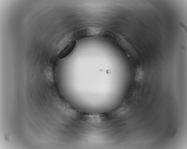 X0000103260524200808291221