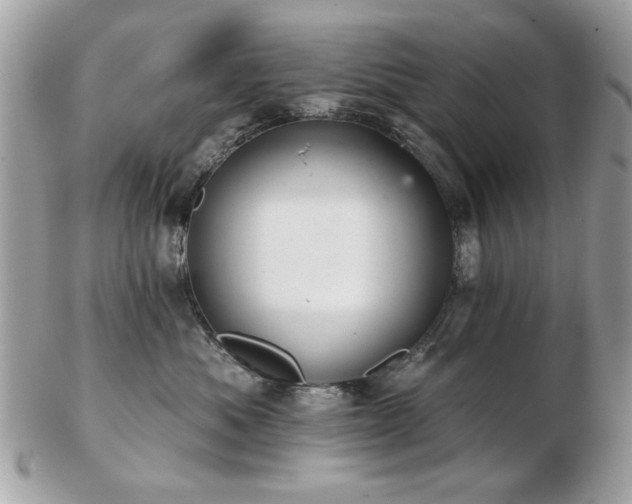 X0000103260525200808291221