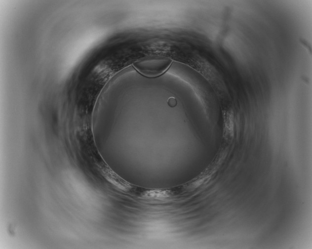 X0000103260526200808291221