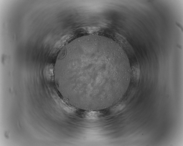 X0000103260527200808291221