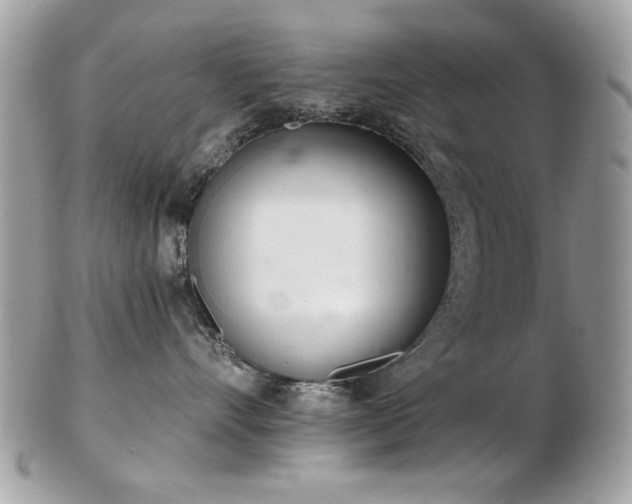 X0000103260528200808291221