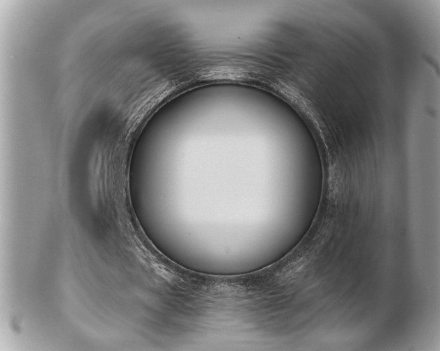 X0000103260529200808291220