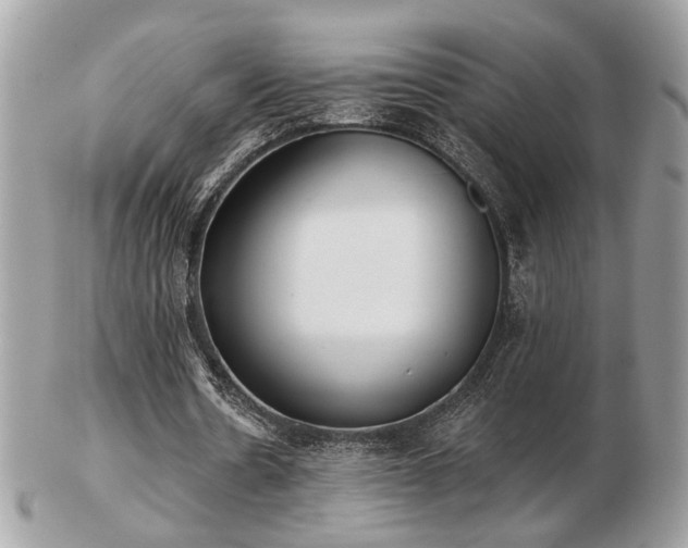 X0000103260530200808291220