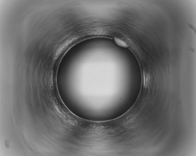 X0000103260531200808291220