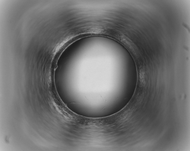 X0000103260532200808291220