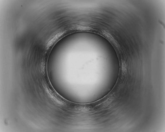 X0000103260533200808291220