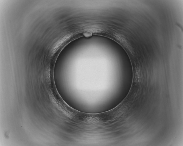 X0000103260535200808291220