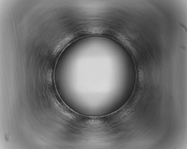 X0000103260537200808291220