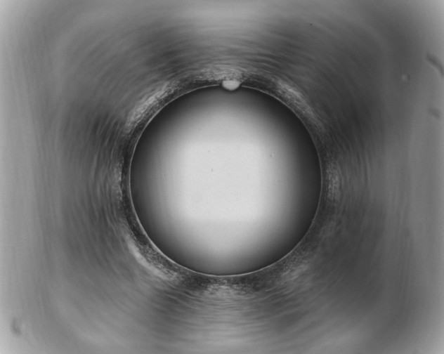 X0000103260538200808291220