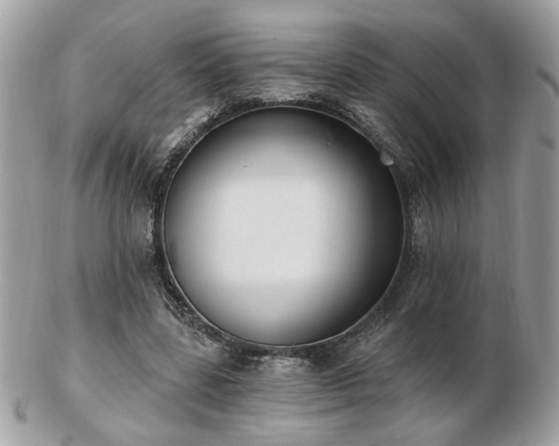 X0000103260539200808291220