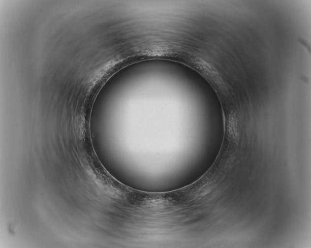 X0000103260540200808291220