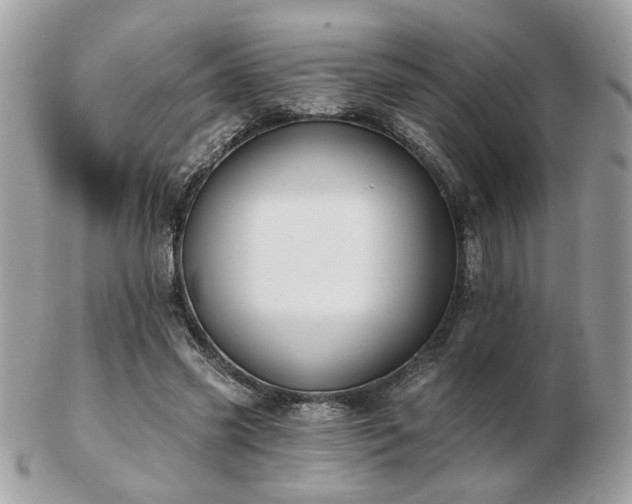 X0000103260541200808291220