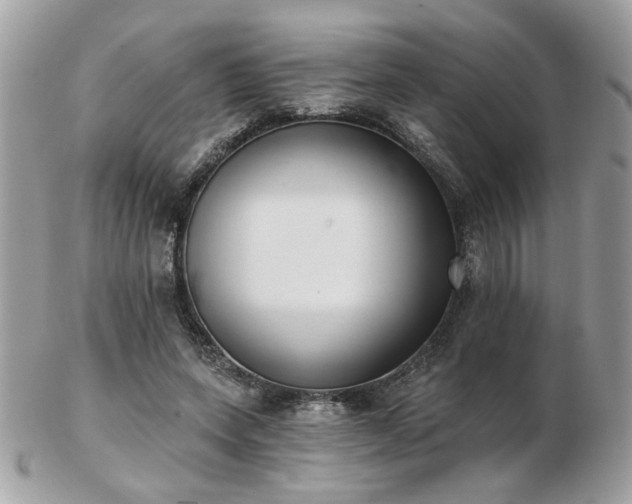 X0000103260543200808291220