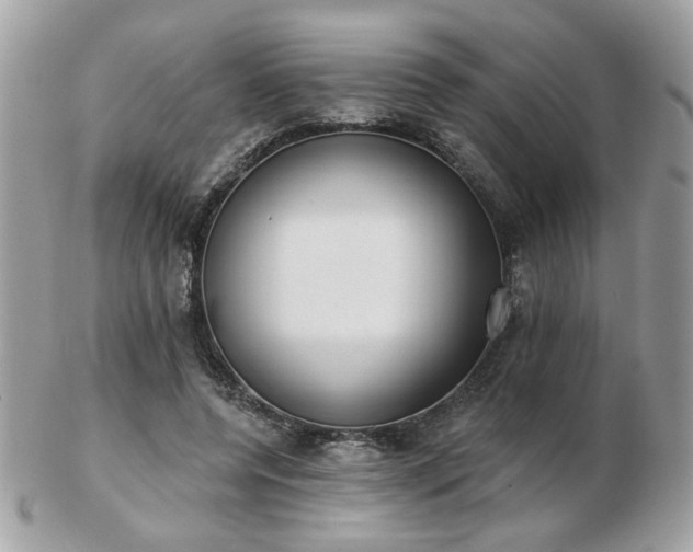 X0000103260544200808291220