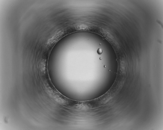 X0000103260545200808291220