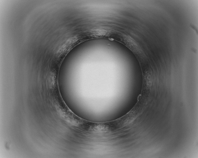 X0000103260546200808291220