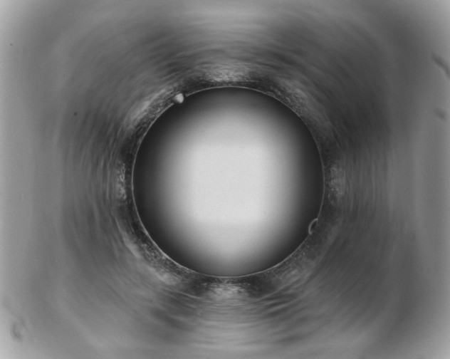 X0000103260547200808291220