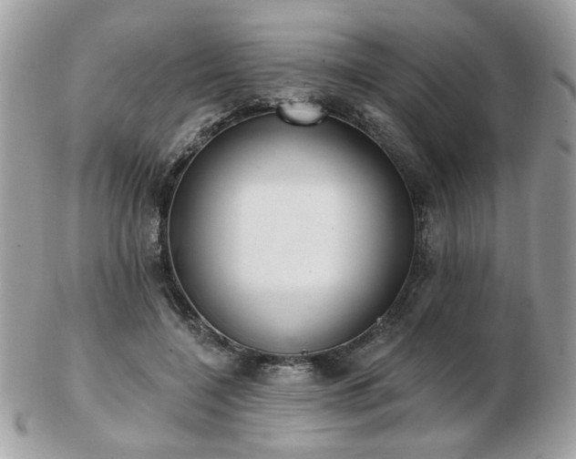 X0000103260548200808291220