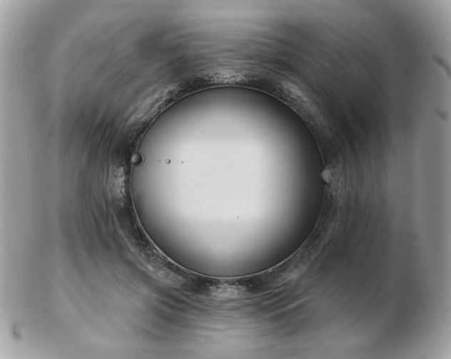 X0000103260549200808291220