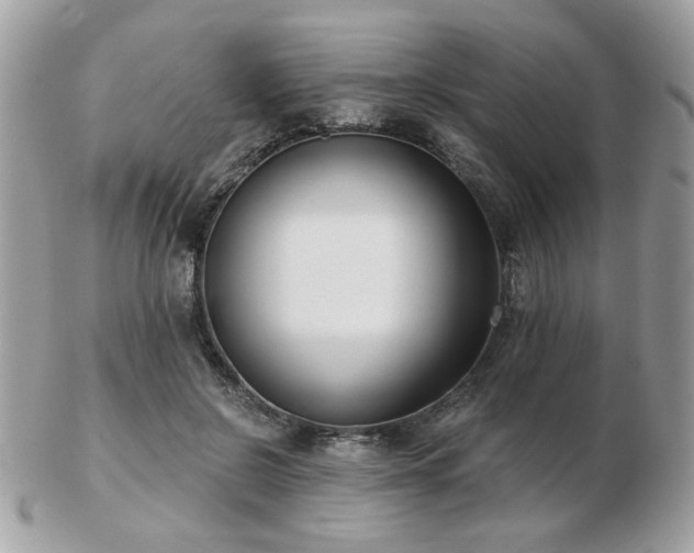 X0000103260550200808291220