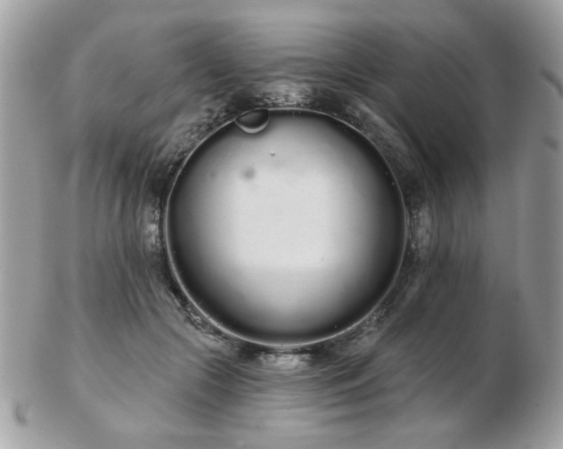 X0000103260553200808291220