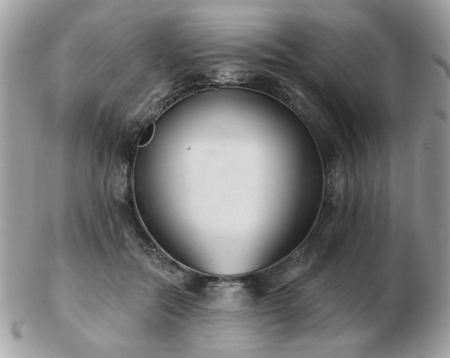 X0000103260554200808291220