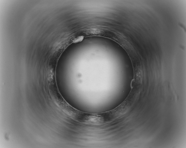 X0000103260555200808291220